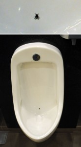 Apis pot - Urinals at Changi Airport, Terminal 3, Singapore